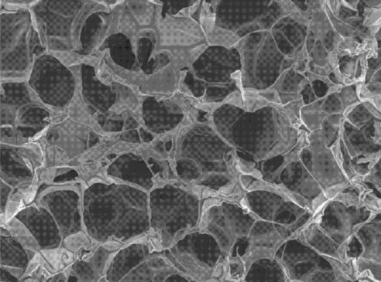 凝膠涂料在建筑領(lǐng)域領(lǐng)跑